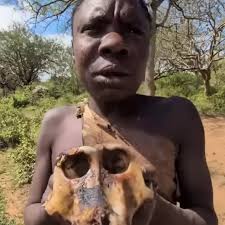 Miloš Kovačević (@milos_kovacevic_8) • Threads, Say more