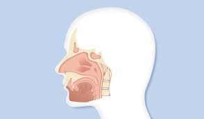 Sinusitis Frontalis Stirnhohlenentzundung Ursachen Symptome Behandlung