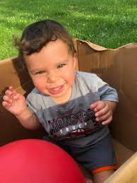 What recipes are suitable for someone with Alpha-Gal for their birthday?