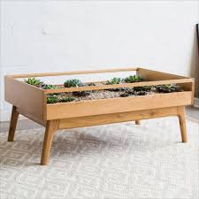 Terrarium Table In 2020 Terrarium Table Coffee Table Terrarium Coffee Table Plants
