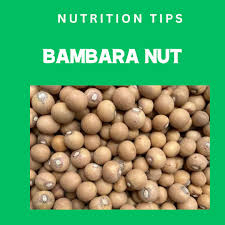 Image result for Vigna subterranea