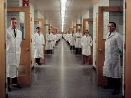 Danny Schuman (djs416)