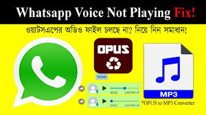Whatsapp Voice Messages Not Playing Convert Opus To Mp3 In 2020 Youtube Music Converter Music Converter The Voice