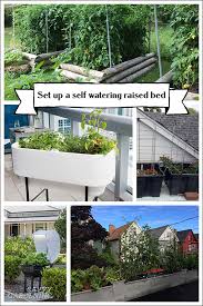 A raised garden bed (or simply raised bed) is a freestanding box or frame—traditionally with no bottom or top—that sits aboveground in a sunny spot in raised beds, you will be planting seeds and transplants closer because the beds are smaller and the soil is richer. Set Up A Self Watering Raised Bed Premade And Diy Options