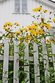 Pin Von Holly Kraus Auf Kikki S Norwegian Village Vibeke Design Garten Pflanzen Pflanzen