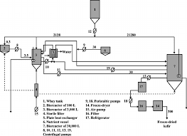 Process Flow Sheet With Mass Balance Kg D For A Production