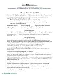 Vendor Due Diligence Report Template Unique 45 Best Of Restaurant Business Plan Template South A In 2020 Project Manager Resume Resume Examples Business Analyst Resume