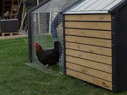 un poulailler eco responsable poulailler jardin loisir grand jardin