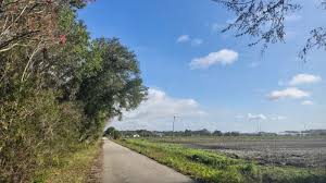 Booking.com has been visited by 1m+ users in the past month Palatka To St Augustine Trail Bike Biking Florida Hikes