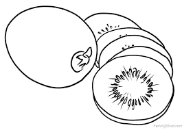 Affordable and search from millions of royalty free images, photos and vectors. Printable Kiwi Coloring Pages To Print Free Coloring Sheets Animal Coloring Pages Coloring Pages To Print Coloring Pages