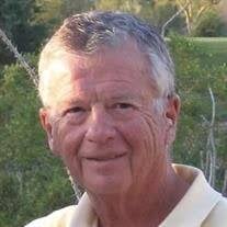 David Ross Bergman Obituary