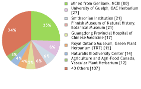 Image result for Bidens steppia