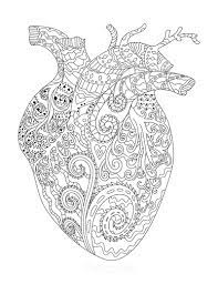Arteries of the head and neck; 70 Best Heart Coloring Pages Free Printables For Kids Adults