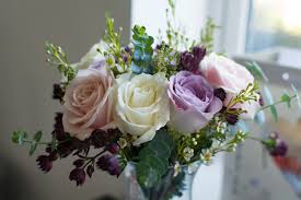 Check spelling or type a new query. Free Photo Spring Flower Beautiful Closeup Flower Free Download Jooinn