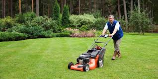 With proper watering, fertilizing and cutting your lawn should look great; A Brief Guide To Lawn Overseeding Going Green Lawn Services Llc