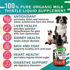 We did not find results for: Amazon Com Liver Support Supplement For Dogs Cats Milk Thistle Liver Support Canine Hepatic Care Cat Dog Liver Cleanse Max Effect Liquid Drops Pet Supplies