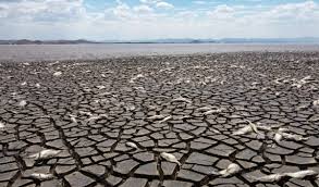 'El Niño' causará inseguridad alimentaria en 45 países vulnerables en 2027