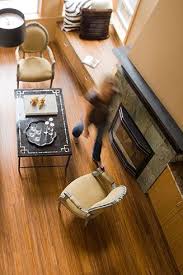 Teragren Flooring Gallery Living Room Synergy Java Photo By John Granen C 2011 Teragren All Rights Flooring Bamboo Flooring Luxury Vinyl Plank Flooring