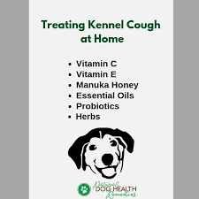 How To Treat Kennel Cough At Home Dog Coughing Dog Cough Remedies Cough