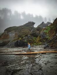 The beach here is a reef and point break that supplies surfers with fairly constant waves. A Morning In Patrick S Point State Park California The Break Of Dawns