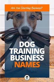 469 Best Dog Training Business Names Video Infographic Dog Training Best Dog Training Business Names