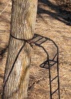 Big Game Treestands The Warrior Ladder Stand Ladder Stands Outdoor Decor Outdoor