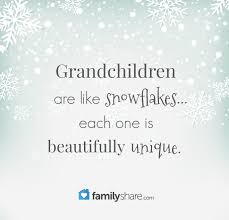 Pastel let it snow quote & grey snowflake brownie in 2020. Grandchildren Are Like Snowflakes Each One Is Beautifully Unique Snowflake Quote Christmas Quotes Inspirational Quotes