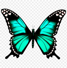 Thousands of new butterfly png image resources are added every day. Download Butterfly Transparent Clipart Png Photo Toppng