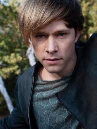 Echo (Dwarsligger, 596) : Olde Heuvelt, Thomas: Amazon.co.uk: Books