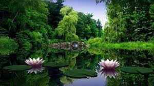 Nature Desktop Computer Hd Wallpapers Free Nature Desktop Green Nature Green Nature Wallpaper