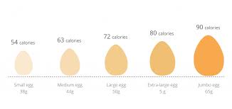 You can think about that in yolk has very dangerous for our health our weight loss. 5 Reasons To Eat Hard Boiled Eggs For Breakfast Kent Instant Egg Boiler