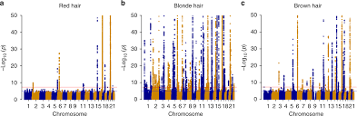 Genome Wide Study Of Hair Colour In Uk Biobank Explains Most