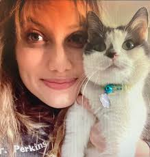 West Market Veterinary Hospital