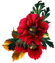Pin On Florals