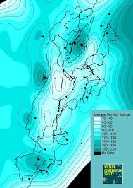Image result for Rubus kirungensis