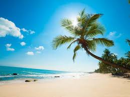 Enjoy and share your favorite beautiful hd wallpapers and background images. Sunny Beach Wallpapers Live Wallpaper For Pc 1024x768 Jpg Desktop Background