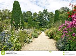 Garden Stone Pathway Summer Flowers In Bloom Conifers Shrubs Tall Trees Lawn Alternatives Low Water Gardening Garden Stones