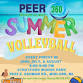 Summer Volleyball - Midland County Friday Nights event in Midland, MI