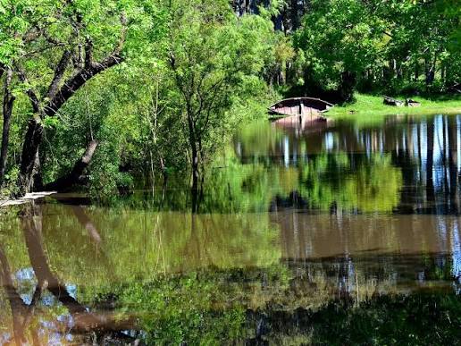 Se tiró al río Yí para escapar, pero la policía lo esperaba: detenido con pistola, moto y droga