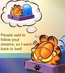 Garfield Pessoas Disseram Para Eu Seguir Meus Sonhos Entao Eu Voltei Para A Cama Garfield Pictures Garfield Quotes Garfield And Odie