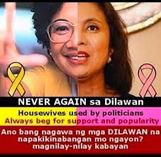 No more Marcos, no more Duterte.” This was the statement of former Cebu  City mayor Tomas Osmeña during the Cebu People's Rally of Vice President  Maria Leonor “Leni” Robredo and her running