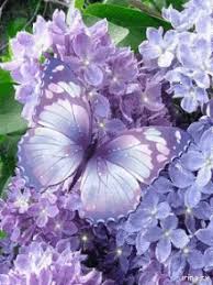 Maybe you would like to learn more about one of these? Butterflies Flowers Gifs Tenor