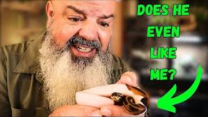 How to find a LOST SNAKE!?