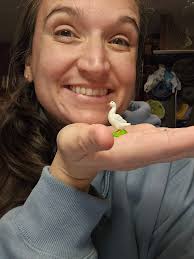 It's go time baby! Thanksgiving Pie!