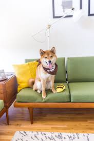 40+ years of american made, family owned quality dog and cat food with top quality ingredients such as salmon. Dog Confessions From A Crazy Pet Mom Reflections On Dog Ownership