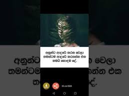 Check spelling or type a new query. Adara Waki Adara Wadan Sinhala Love Quotes Apps Bei Google Play