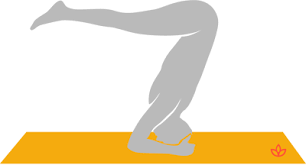 What Is Ardha Salamba Sirsasana Definition From Yogapedia