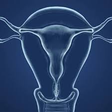 Fibroids Treatment Ucsf Health
