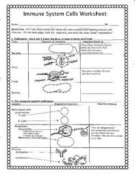 This Worksheet Has The Student Show His Understanding Of The Various Cells Working In The Immune System And The Two Processes Immune System Immunity Worksheets