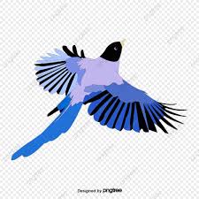 71 gambar burung vektor png hd paling keren gambar burung. Gambar Murai Png Vektor Psd Dan Clipart Dengan Latar Belakang Transparan Untuk Download Gratis Pngtree
